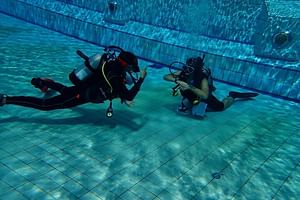 Shared Experience PADI Open Water Diver Course Gold