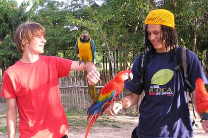 Three-Day Rainforest Adventure Tour from Iquitos, Peru