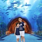 Tiny eyes light up in wonder at the colorful marine world