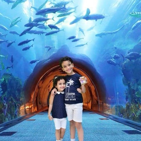 Tiny eyes light up in wonder at the colorful marine world