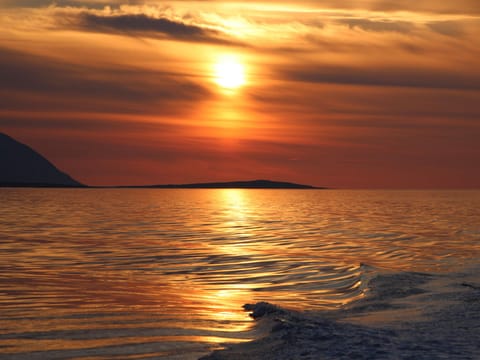 Akureyri Express Whales in the Midnight Sun, photo 3