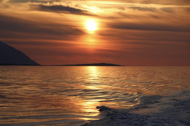 Akureyri Express Whales in the Midnight Sun 3