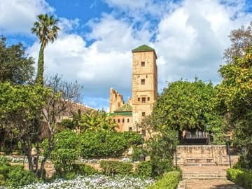 Private 7-Day Cultural Tour of Casablanca, Chefchaouen, and Essaouira