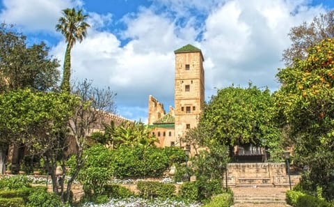 Private 7-Day Cultural Tour of Casablanca, Chefchaouen, and Essaouira