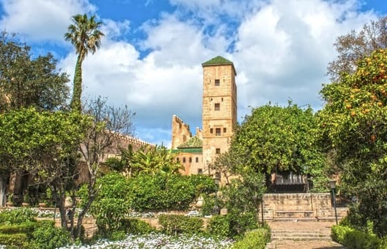 7 Days Private Historical Tour of 6 Cities in Morocco