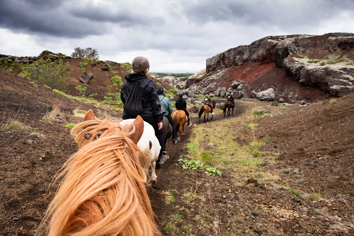 Reykjavík Horseback Riding, Iceland