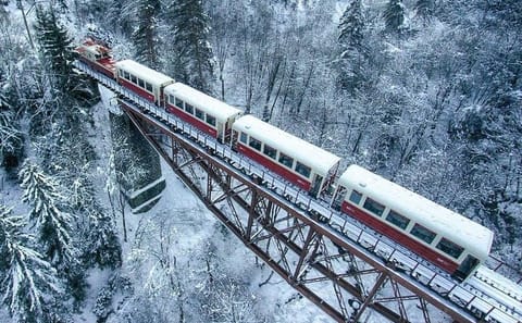 Private Full Day ATV and Cultural Tour in Borjomi and Bakuriani