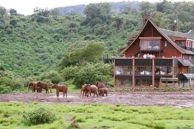 Ark Lodge at the Aberdare National Park in Kenya