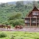 Ark Lodge at the Aberdare National Park in Kenya