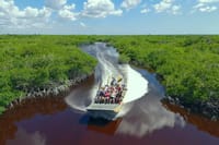 Everglades Airboat Experience – Wildlife & Wetlands 3