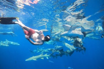 Maafushi full day tour