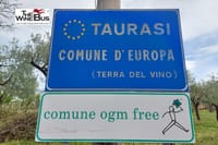 Taurasi: land of wine