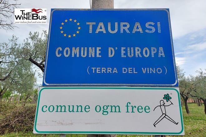Taurasi: land of wine