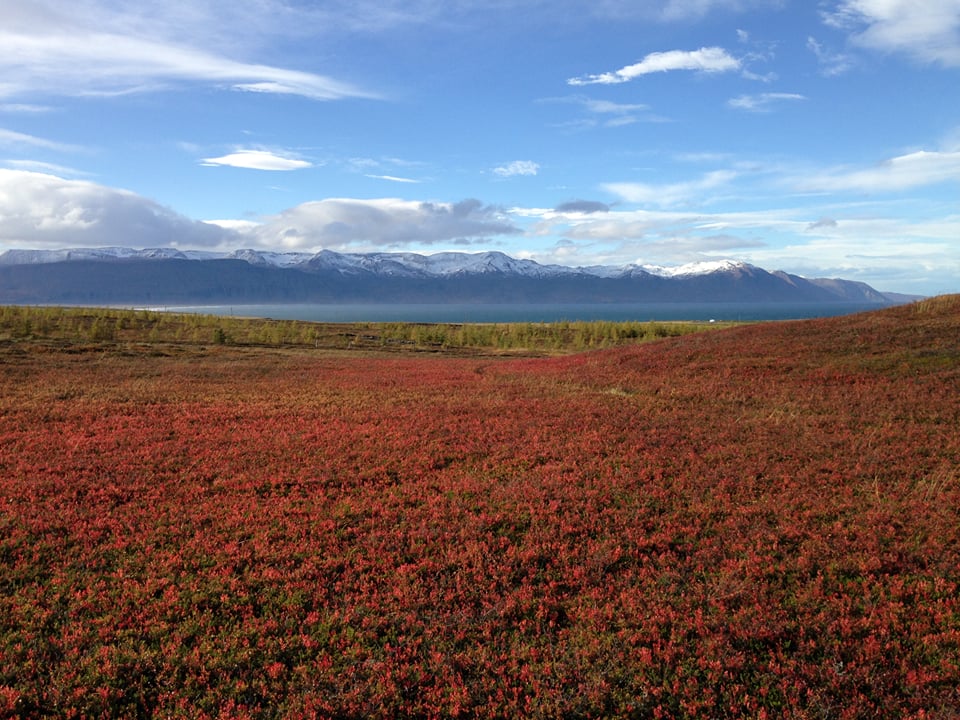 The Saltvík tour — Saltvík Holidayfarm