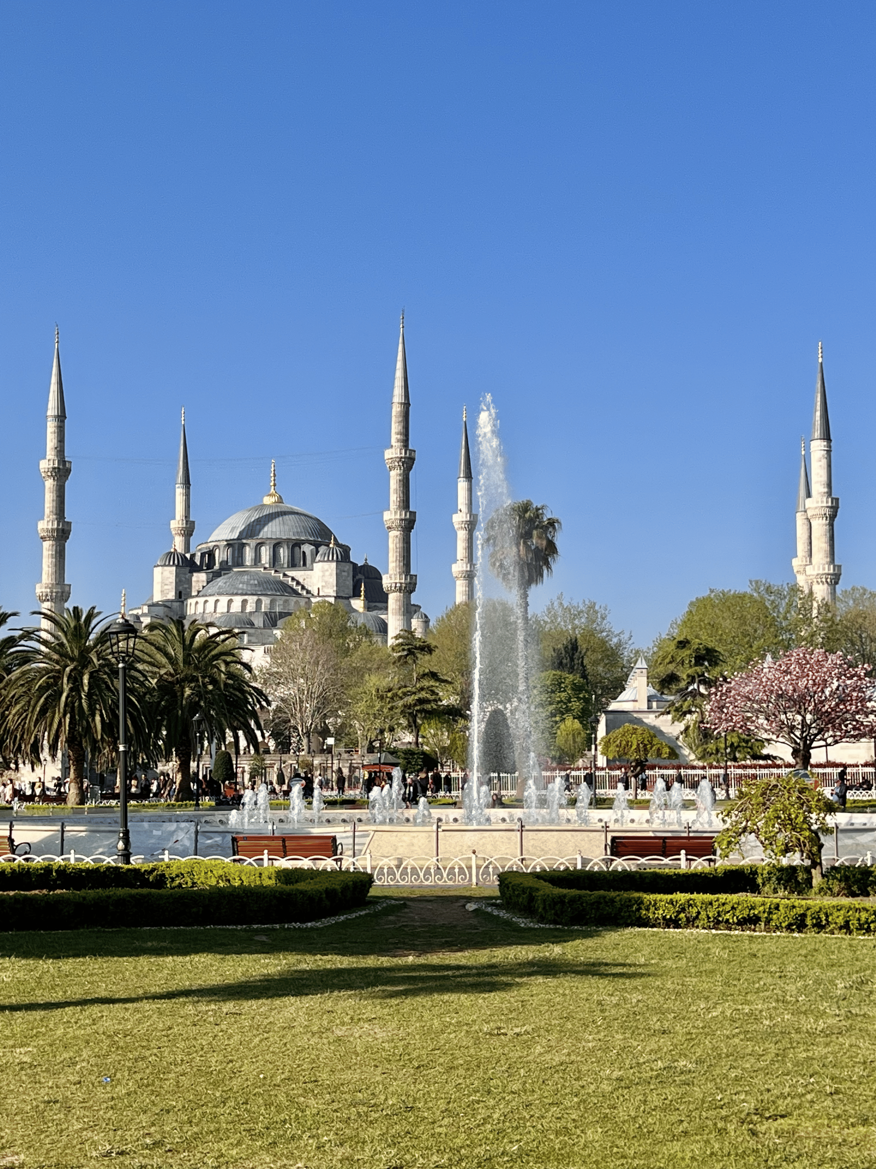 The Blue Mosque