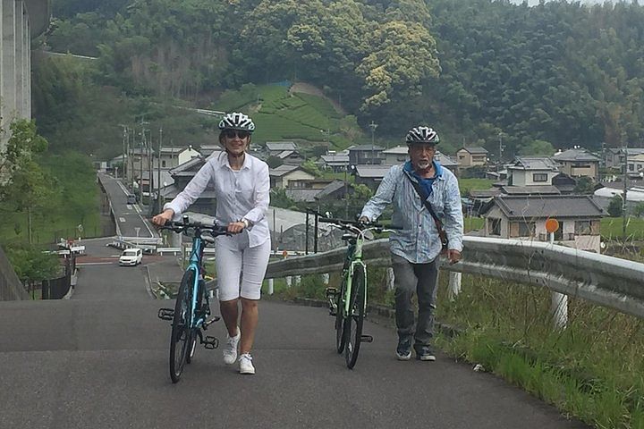 Guided Bike Tour to a Green Tea Farm in Shizuoka (not e-bikes)