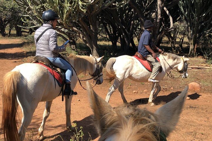 Expert guide leading riders on Horseback Safari from Johannesburg with Deeprift Ventours
