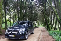 Lisbon to Seville Private Transfer: Algarve Coast & Scenic Stops 8