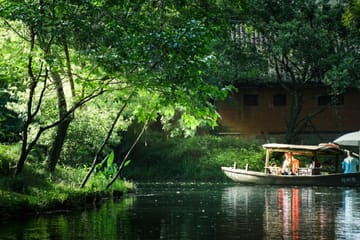 Xixi Wetland National Park Eco-Tour and Boat Ride in Hangzhou