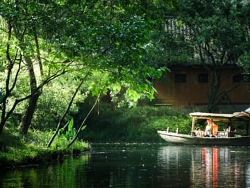 Hangzhou: Xixi Wetland National Park Eco-Tour & Boat Ride