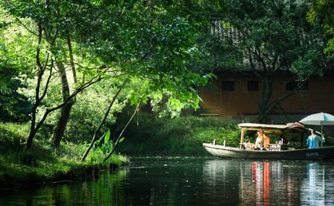 Xixi Wetland National Park Eco-Tour and Boat Ride in Hangzhou