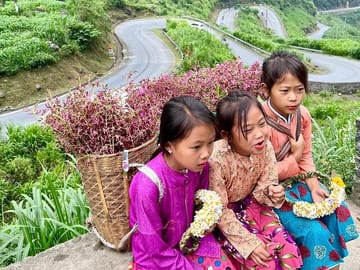 Amazing Ha Giang Motorbike Tour 3 days 2 nights (with easy rid