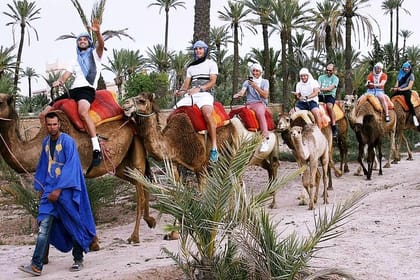 Marrakech activities: Camel ride tour Marrakech