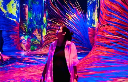 Explore TeamLab Phenomena: Immersive Art Experience in Abu Dhabi