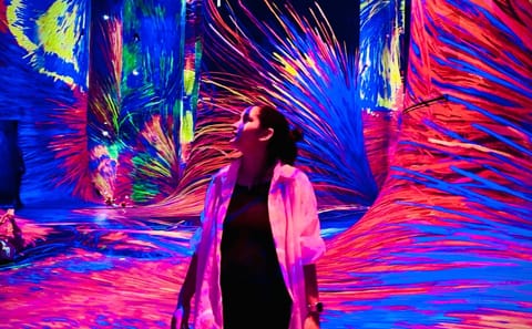Explore TeamLab Phenomena: Immersive Art Experience in Abu Dhabi