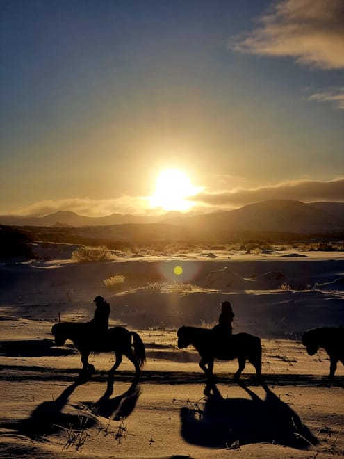 Reykjavik Odyssey: Walk, Talk, and Ride