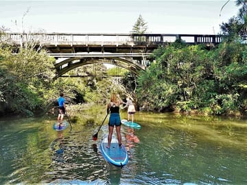 Stand-Up Paddle Boarding Tour to Lucas Creek Waterfall in Auckland