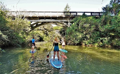 Stand-Up Paddle Boarding Tour to Lucas Creek Waterfall in Auckland