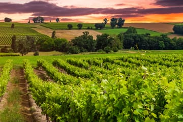 Private Surf and Wine Tour Near Santiago, Chile