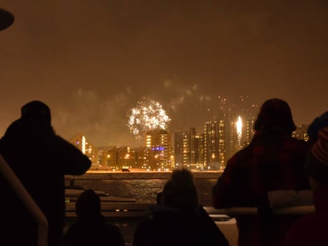 Reykjavík New Year's Eve Celebration at Sea, photo 5