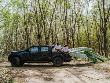 Khaolak : Elephant Sanctuary Observation with Lunch