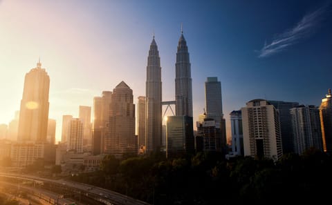 Kuala Lumpur City and Batu Caves Adventure Tour
