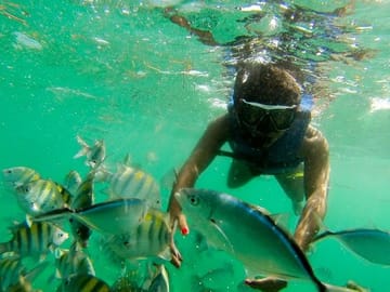 Snorkeling in Punta Cana
