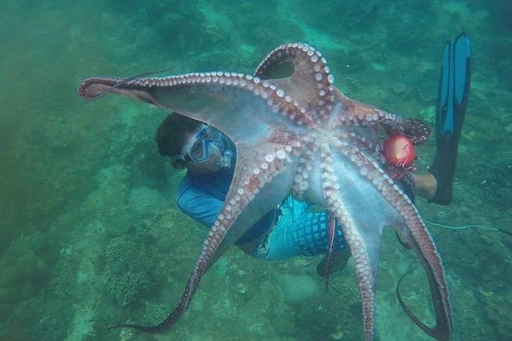 Things to do in Indonesia