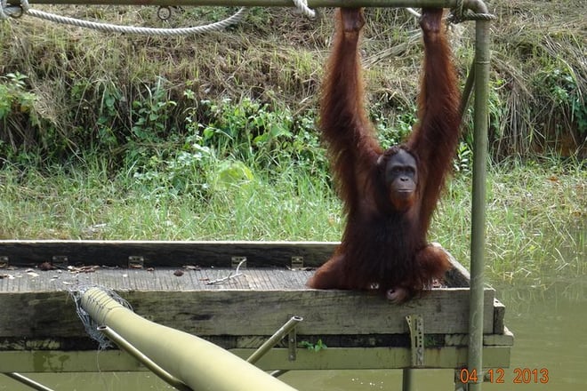 2D 1N Tour Kuala Lumpur -  Cameron Highlands - Penang Island drop off (P56)