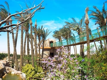 2-Hour Red Sea Marine Life Experience at Hurghada Grand Aquarium