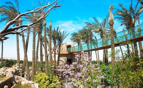2-Hour Red Sea Marine Life Experience at Hurghada Grand Aquarium