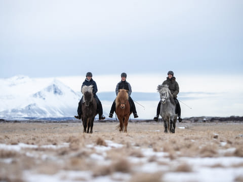 2,5h Trail Ride for Intermediate Riders, photo 4
