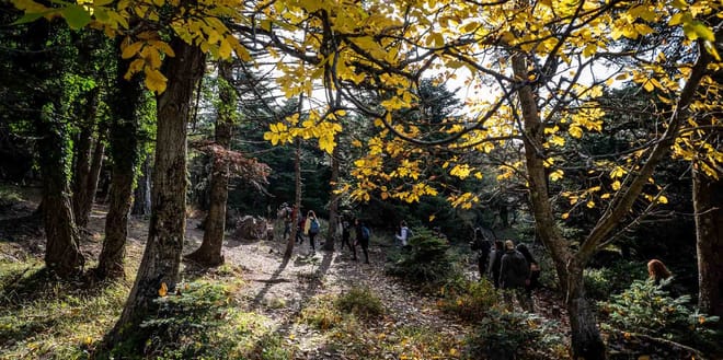 Hiking Mountain Parnitha 2