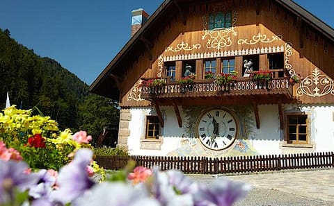 Private 10-Day Alsace and Black Forest Tour from Frankfurt