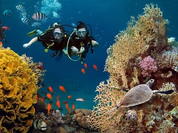 Scuba Diving and Snorkeling Adventure in Alanya, Türkiye
