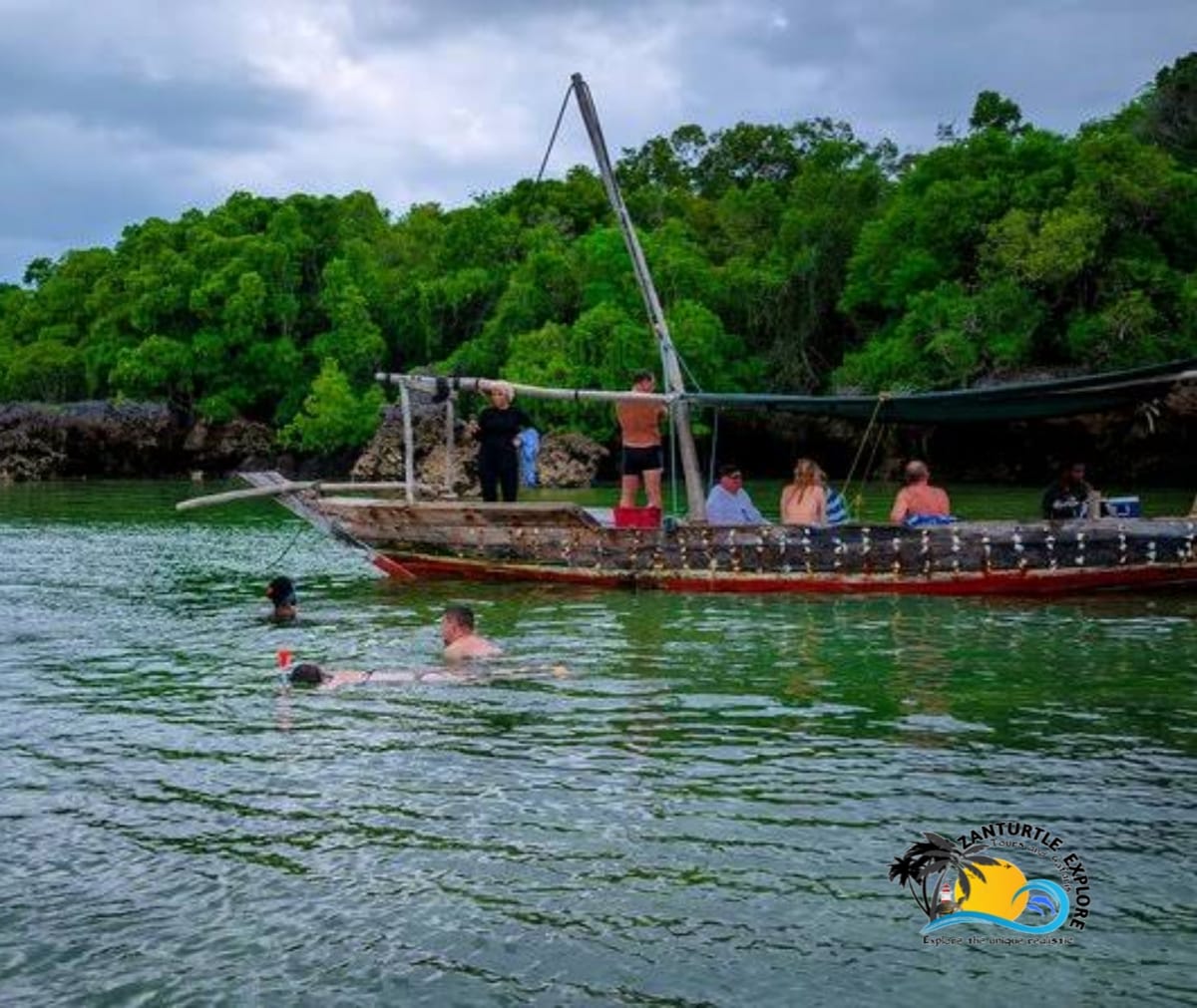 Zanzibar Prison Island Giant Big Tortoise Tour