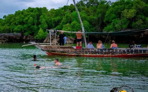 Zanzibar Safari Blue Snorkeling and Lunch Experience