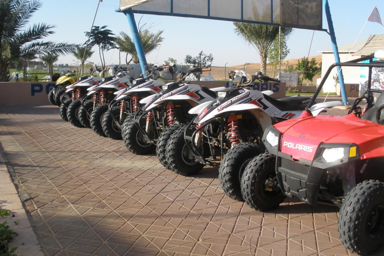 Quad Bike Safari Tour with Daytur