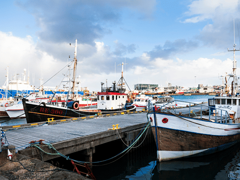 Gamla Reykjavíkurhöfnin - The Old Harbor of Reykjavik