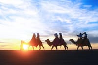 Sunset Camel Ride and ATV Combo Adventure in Los Cabos 3
